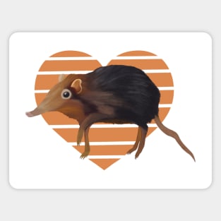 Cute Elephant Shrew Orange Heart Magnet